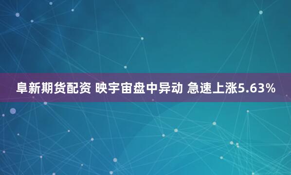 阜新期货配资 映宇宙盘中异动 急速上涨5.63%