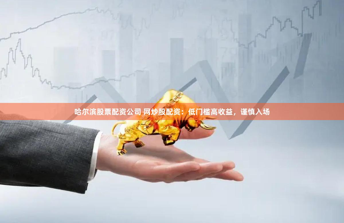 哈尔滨股票配资公司 网炒股配资：低门槛高收益，谨慎入场