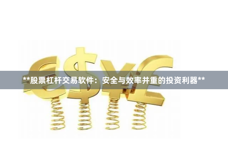 **股票杠杆交易软件：安全与效率并重的投资利器**
